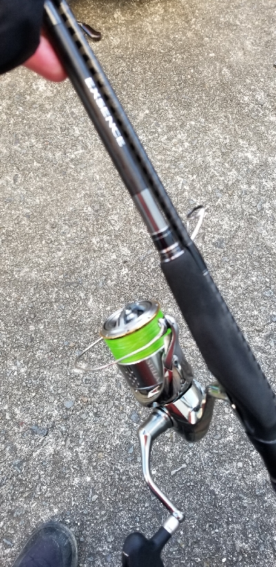 青物狙いでイカだけでした