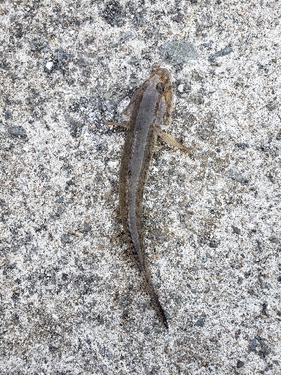 いろいろ出会えたひ