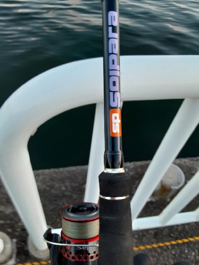 夕まずめタチウオ