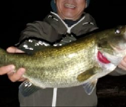 やっとやっとの