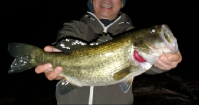 やっとやっとの