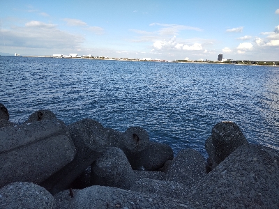 カレイ釣りのはずが、、、