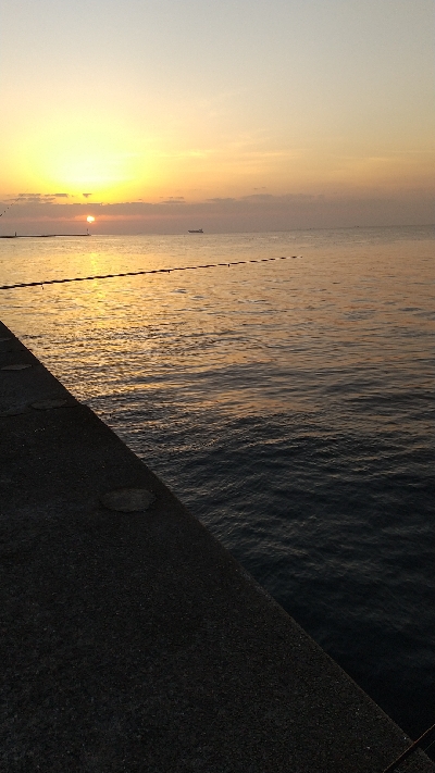 やっぱりビッグバッカー