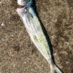 久しぶりの遠征釣行