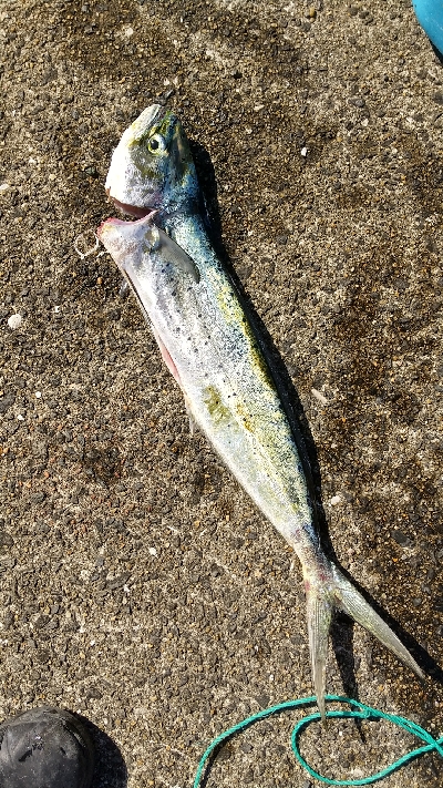 久しぶりの遠征釣行