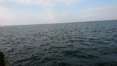 朝マズメ ハマチ好調 継続中！