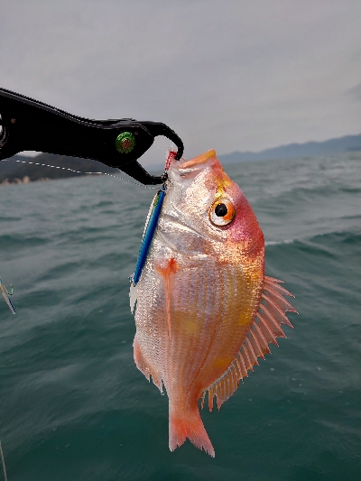 ２馬力ボート釣行