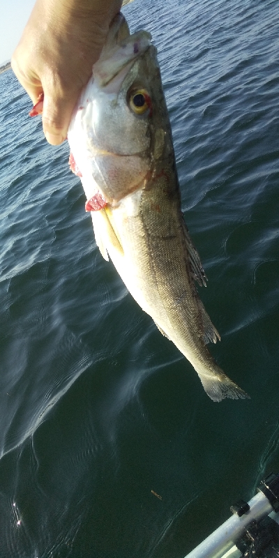 津と松阪の境目でゴムボート