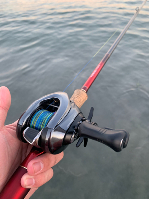 雨の中粘りに粘ってサゴシフィーバー！