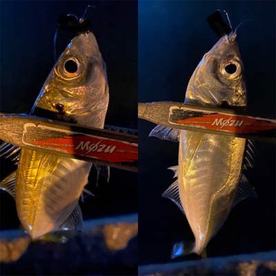 ロングロッドでジグ単