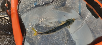 大潮なのに・・・