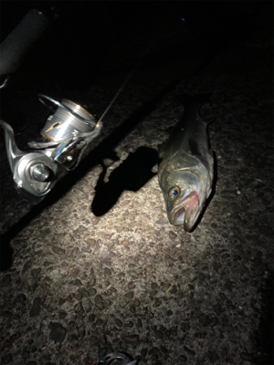 3ヒット1キャッチの敗北