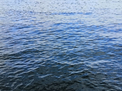 ポッパーでメジロ