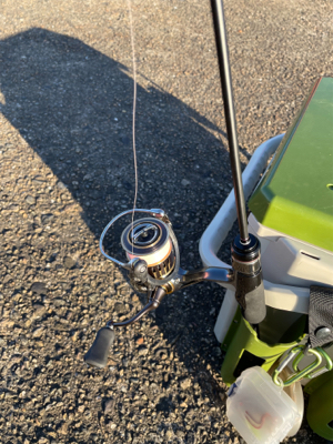 久々のアジング