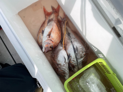 丹後沖タイラバ