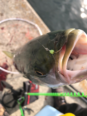 3連勝3連続マルチ安打