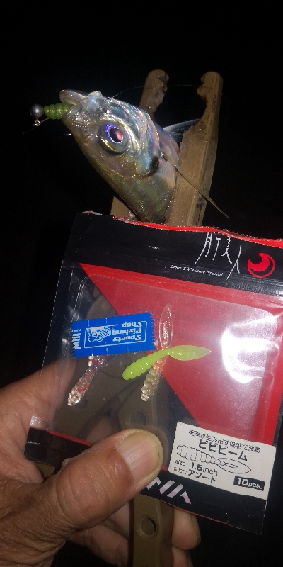 アジング練習328　スプリットシンカー