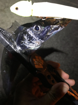 大潮サーベルゲーム