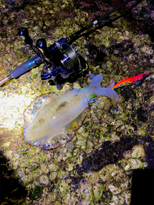 ガイドエギング