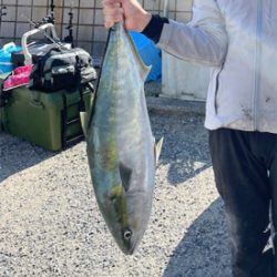 明石海峡　イカゲームで鰤！