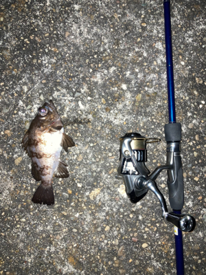 爆風ライトゲーム