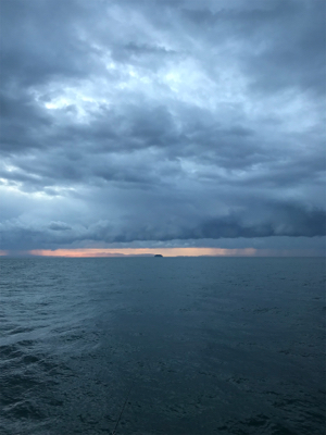 朝マズメのハマチ