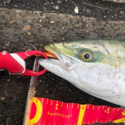 雨上がりの潮止まり