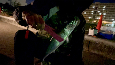 尺サバって言わないんですか⁉︎