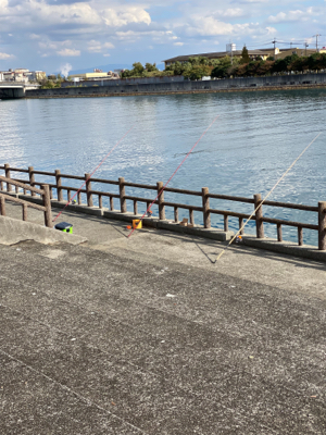 カレイ、カワハギ釣り