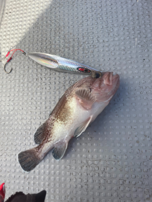 丹後沖中深海ジギング