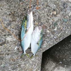 ショアジギング