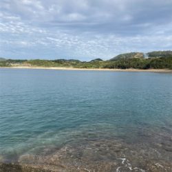 もうすぐ親イカ？