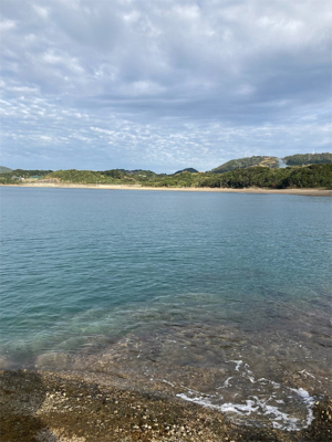 もうすぐ親イカ？