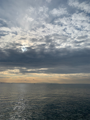 二週連続のメジング