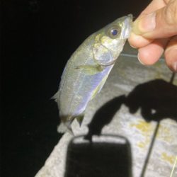 ヒイカのちチーバス