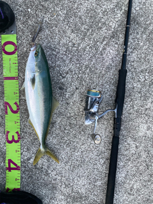 無反応シラスパターン