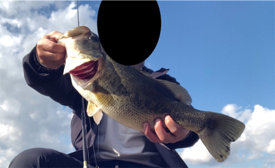 木浜陸っぱり　残りウィード