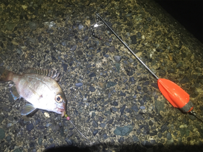 キスは足で釣る