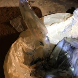 ヒイカ釣りに行ってみた。