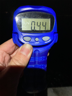 エギング絶好調