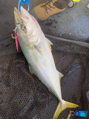 今秋初ジギング