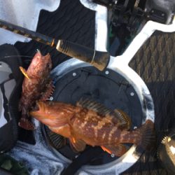 コンパクトカヤックフィッシング