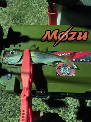 寒さで準備をサボったせいで