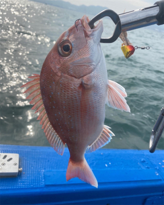 関門一つテンヤ