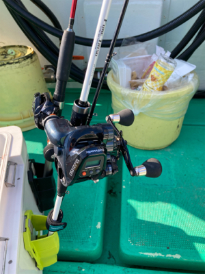 今年の初太刀魚