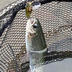 黒保根渓流フィシング