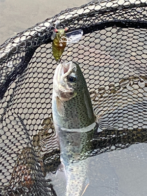 黒保根渓流フィシング