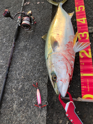 ボイル打ち⁉️