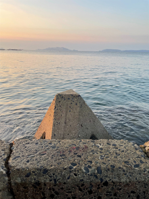 朝マズメ１時間勝負