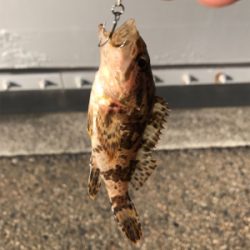 デイメバリング